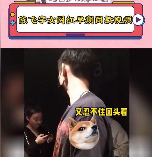 陈飞宇早期爆料视频大全,揭秘星途背后的成长故事